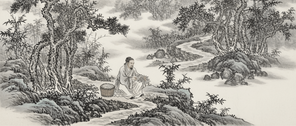 Traditional Chinese ink wash painting (水墨画) in a wide panoramic format. A classical Chinese physician in ancient robes, resembling Li Shizhen, gathering medicinal herbs on a mountain path surrounded by pine trees, bamboo, and mountain mist. Background with subtle Chinese calligraphy characters faded into the misty wash. Monochrome black, grey and white tones with very subtle ink washes. Elegant, refined, high-end feel. Wide horizontal composition suitable for a website hero banner. No modern elements.